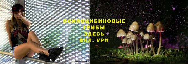 прущий лед Балахна